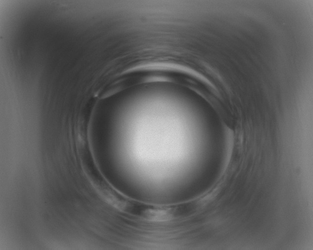 X0000083050170200702091447