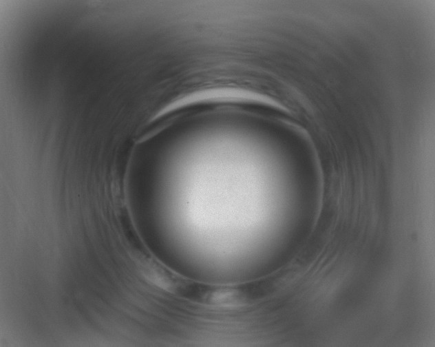 X0000083050173200702091447