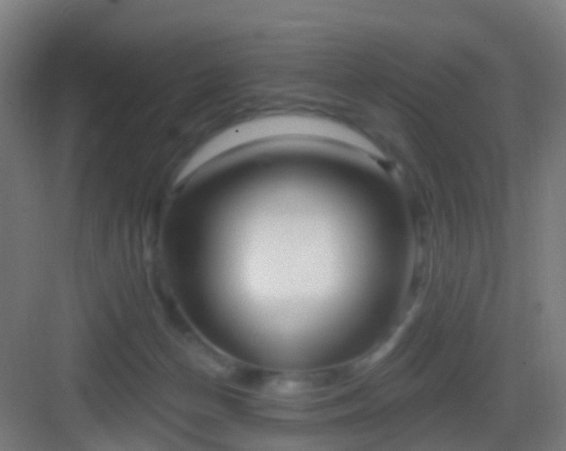 X0000083050174200702091447