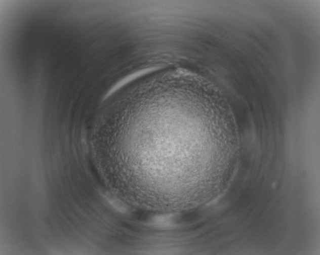 X0000083050178200702091447