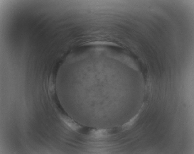 X0000083050186200702091447