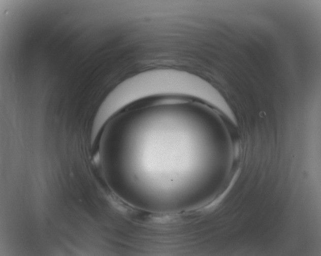 X0000083050190200702091448