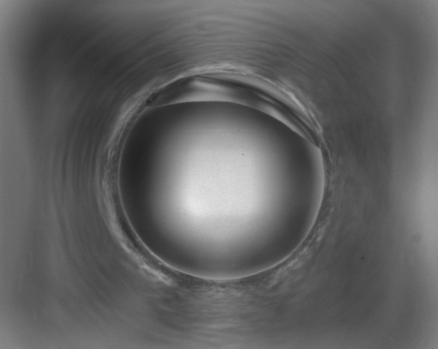 X0000083050193200702091447