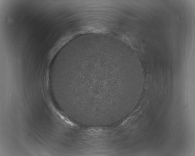 X0000083050194200702091447