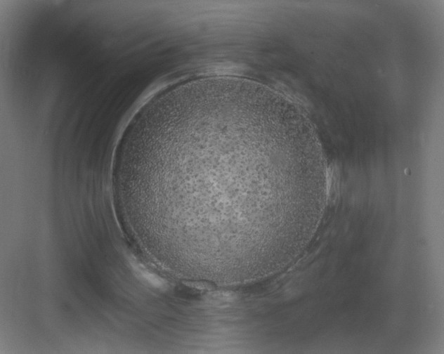 X0000083050195200702091447