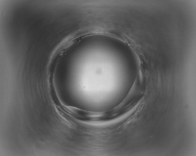 X0000083050197200702091447