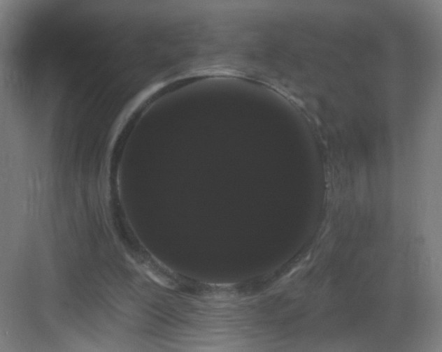 X0000083050200200702091447