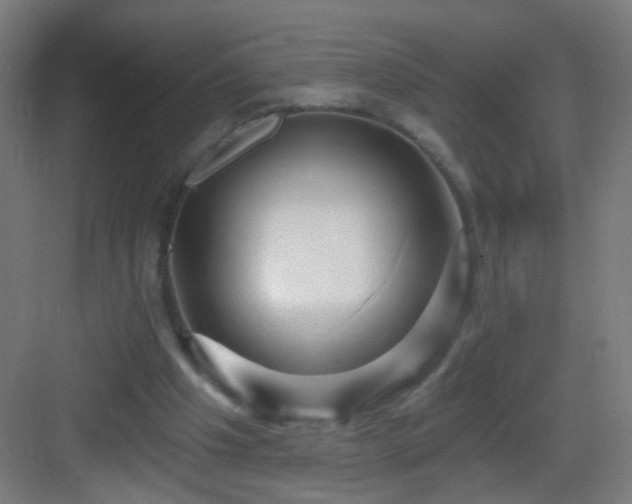 X0000083050201200702091447
