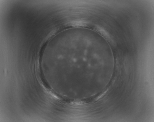 X0000083050202200702091447