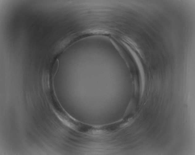 X0000083050205200702091447