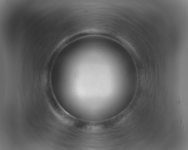 X0000083050208200702091447