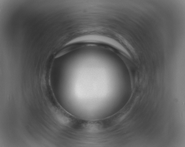 X0000083050209200702091447