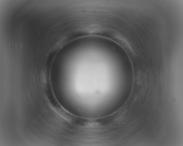 X0000083050210200702091447