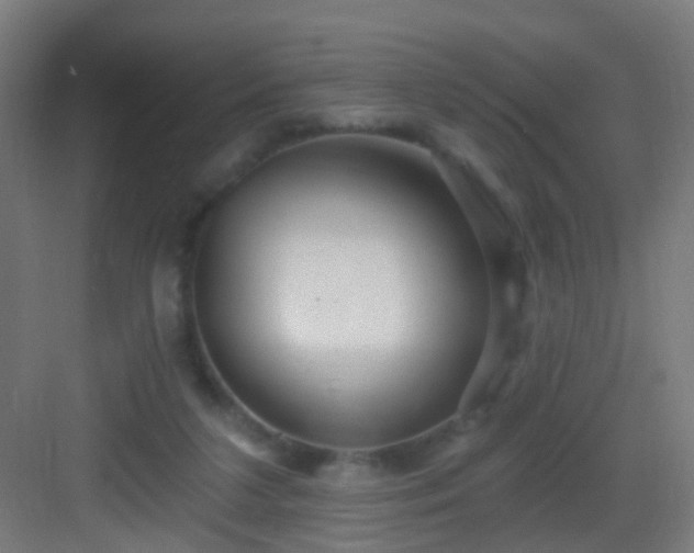 X0000083050211200702091446