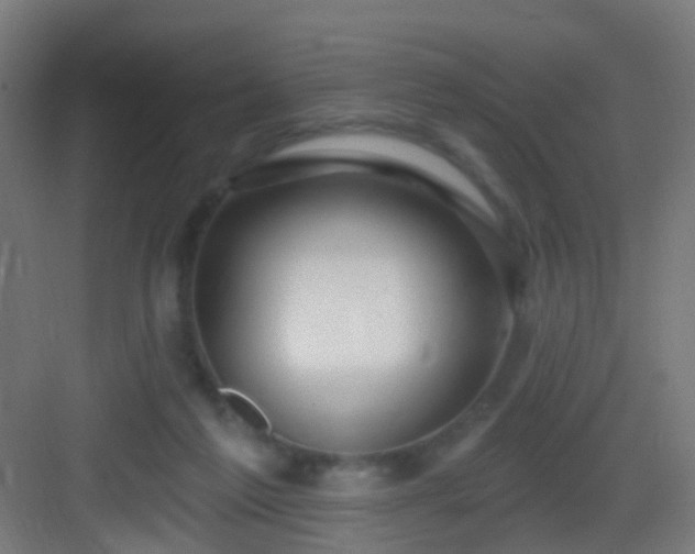 X0000083050213200702091446