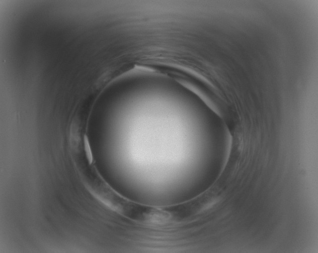 X0000083050215200702091446