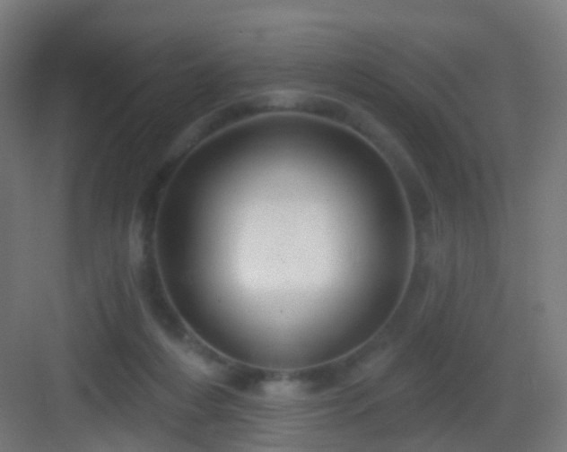 X0000083050216200702091446