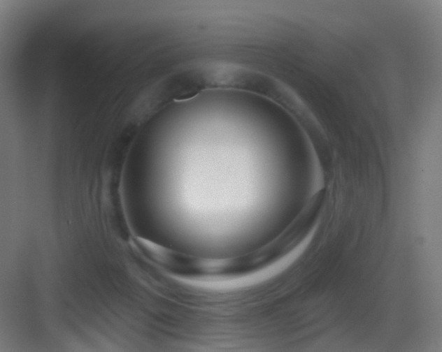 X0000083050217200702091446