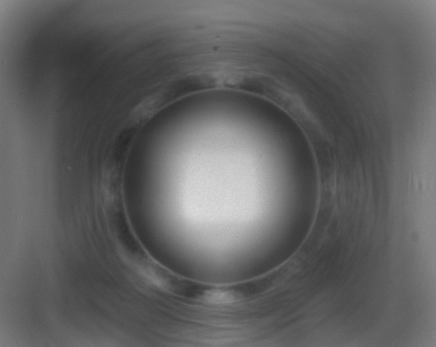 X0000083050218200702091446