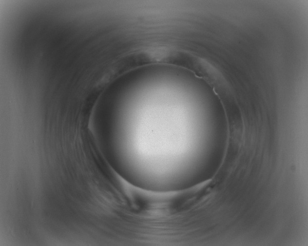 X0000083050221200702091446