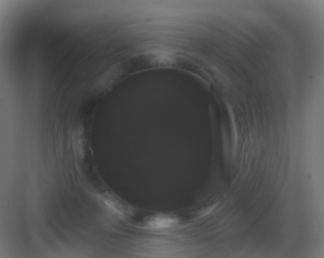 X0000083050223200702091446