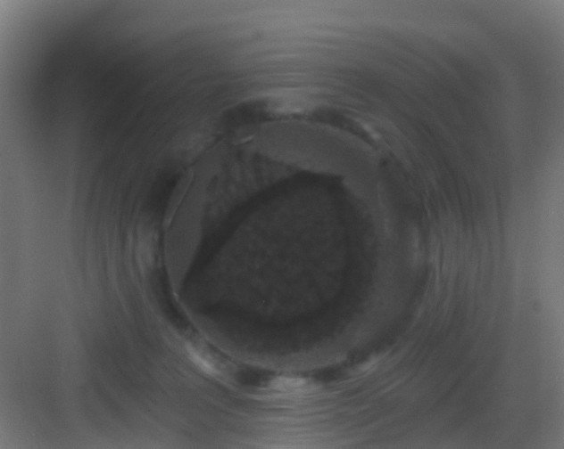 X0000083050227200702091446
