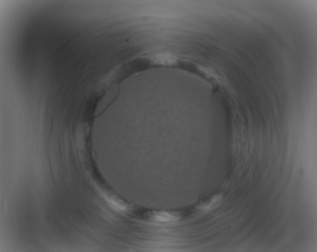X0000083050229200702091446