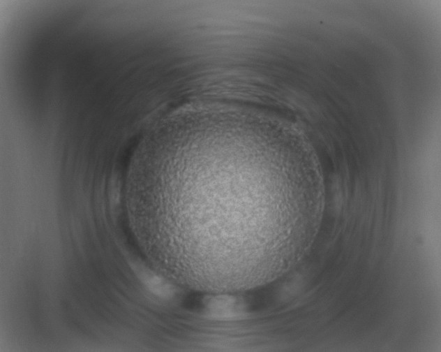 X0000083050230200702091446