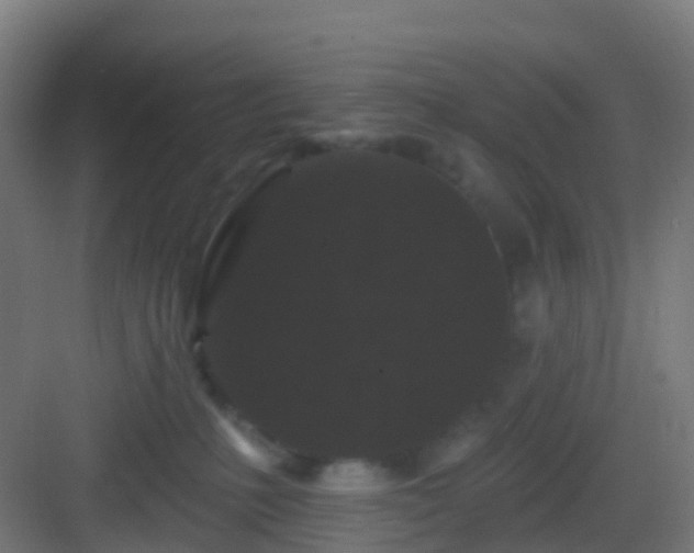 X0000083050231200702091446