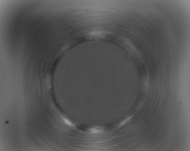 X0000083050232200702091446
