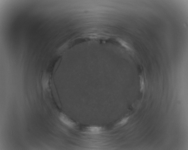 X0000083050233200702091446