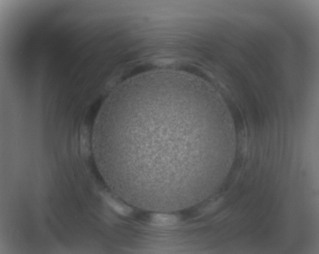 X0000083050234200702091446