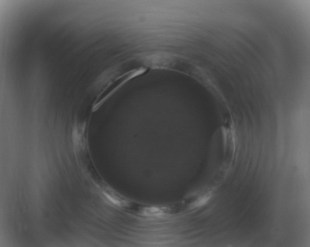 X0000083050239200702091446