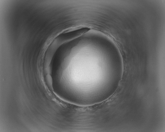 X0000083050241200702091445