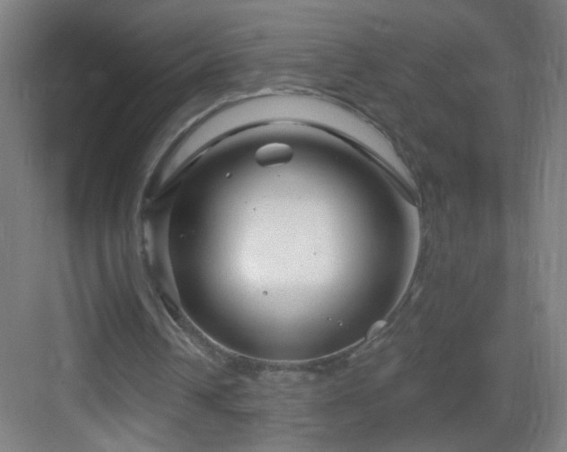 X0000083050242200702091445
