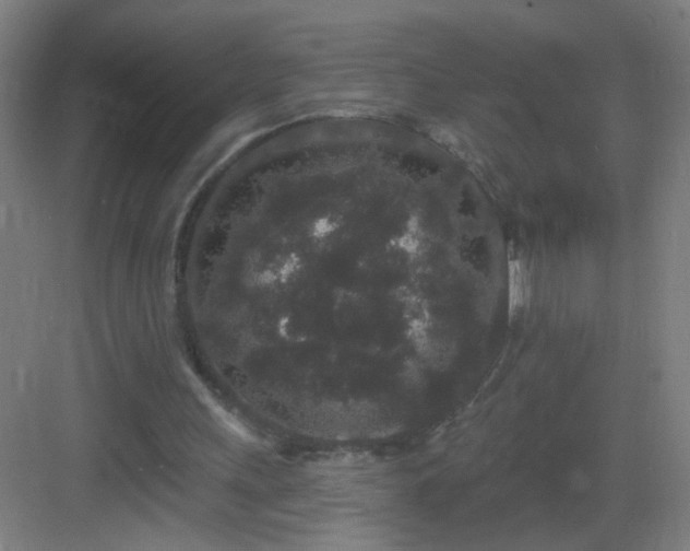 X0000083050243200702091445