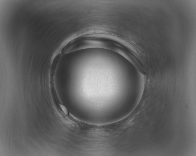 X0000083050244200702091445