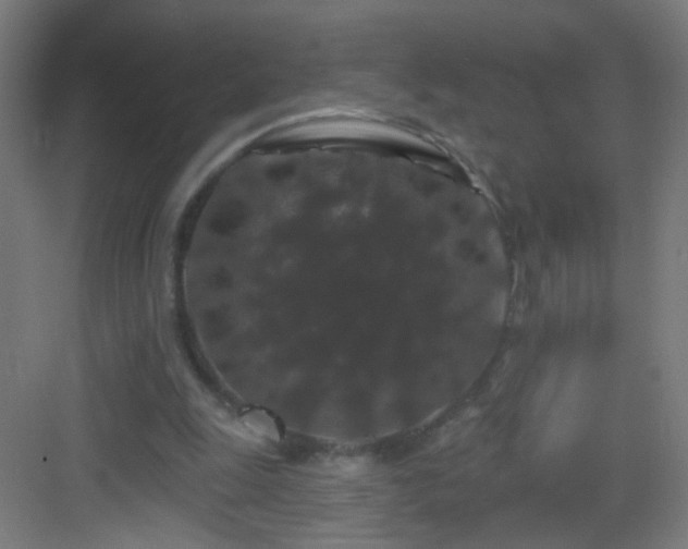 X0000083050247200702091445