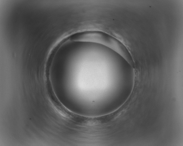 X0000083050248200702091445