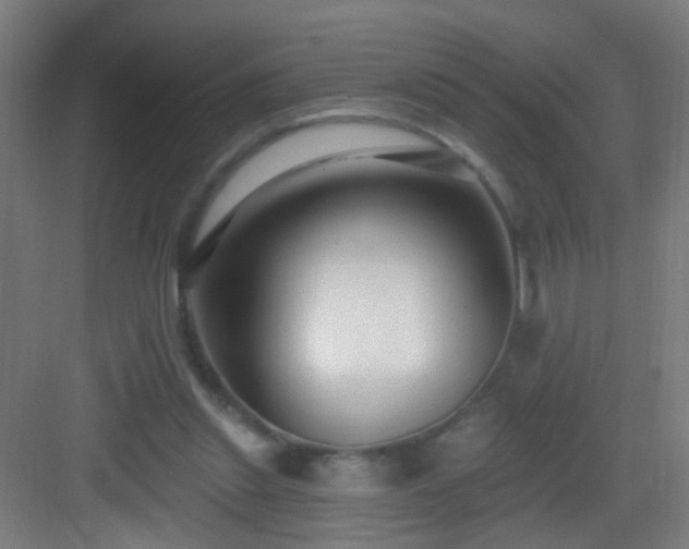 X0000083050253200702091445