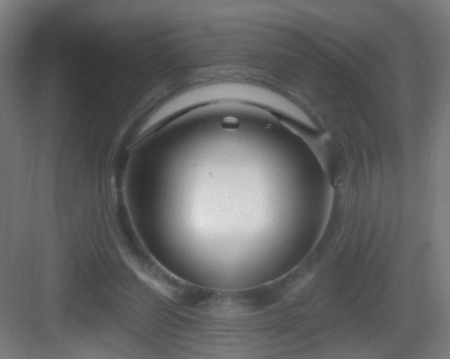 X0000083050254200702091445