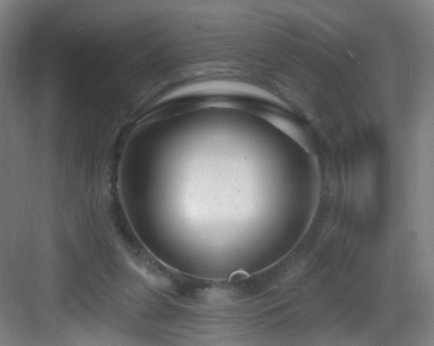 X0000083050255200702091445
