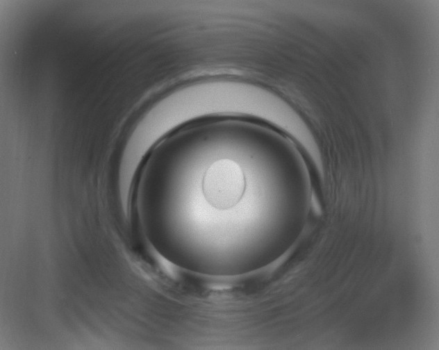 X0000083050256200702091445