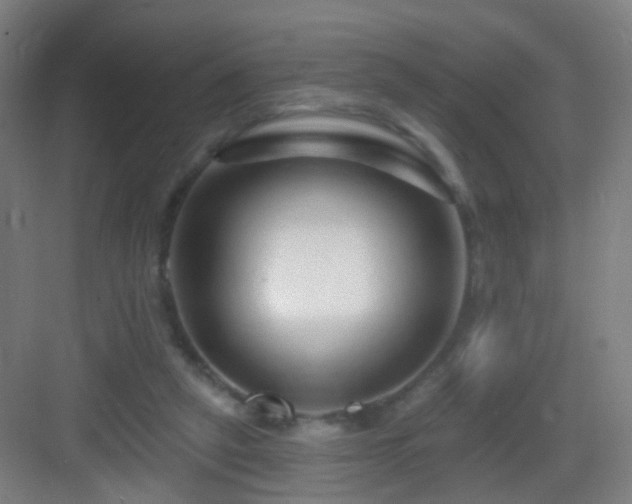 X0000083050257200702091445