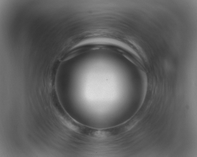 X0000083050261200702091446