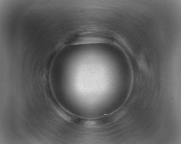 X0000083050265200702091446