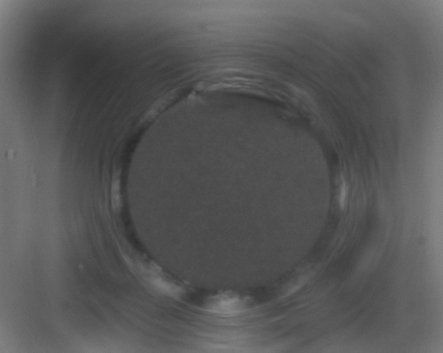 X0000083050267200702091446