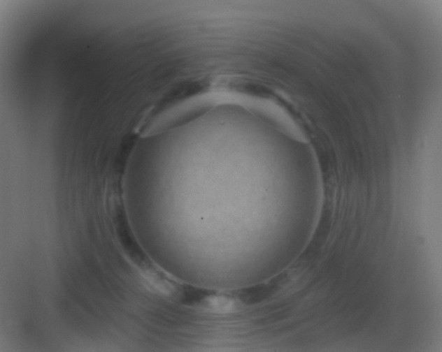 X0000083050272200702091446