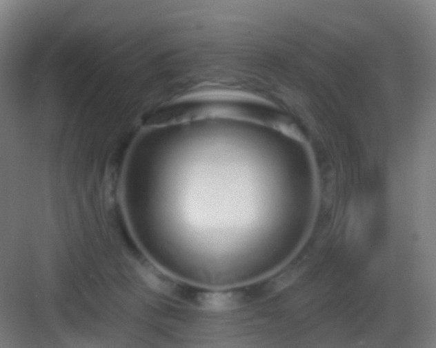 X0000083050273200702091446