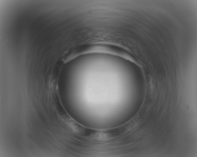 X0000083050276200702091446